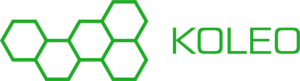 Logo Koleo LIc